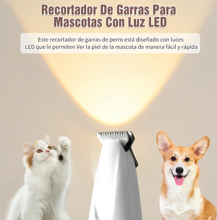 Miniatura 5 de MINI MAQUINA CON LINTERNA PATAS MASCOTA